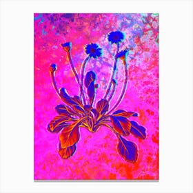 Daisy Flowers Botanical in Acid Neon Pink Green and Blue n.0197 Canvas Print