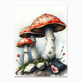 Watercolor Illustration Of Mushrooms Canvas Print