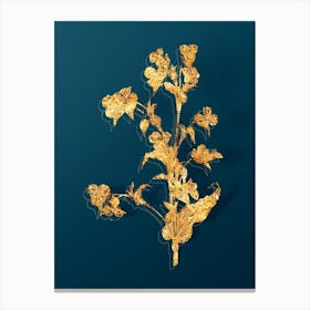 Vintage Commelina Tuberosa Botanical in Gold on Teal Blue n.0280 Canvas Print
