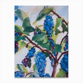 Mulberry 3 Classic Fruit Canvas Print