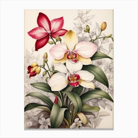 Orchids 9 Canvas Print