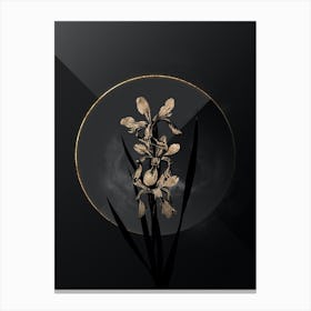 Shadowy Vintage Yellow Banded Iris Botanical in Black and Gold n.0010 Canvas Print