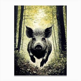 Wild Boar 1 Canvas Print