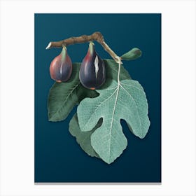 Vintage Fig Botanical Art on Teal Blue n.0285 Canvas Print