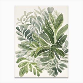 Green Botanica 2 Canvas Print