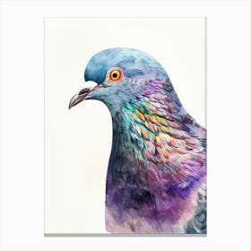 Pigeon 3 Canvas Print