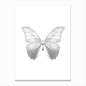 Butterfly Isolated On White Canvas Print