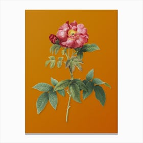 Vintage Provins Rose Botanical on Sunset Orange n.0891 Canvas Print
