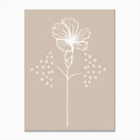 Carnation 2 Canvas Print