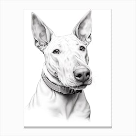 Boston Terrier Dog, Line Drawing 7 Canvas Print