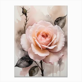 Vintage Muted Blush Pink Roses Painting (6) Canvas Print