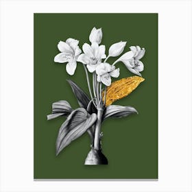 Vintage Crinum Giganteum Black and White Gold Leaf Floral Art on Olive Green Canvas Print
