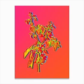Neon Judas Tree Botanical in Hot Pink and Electric Blue n.0488 Canvas Print