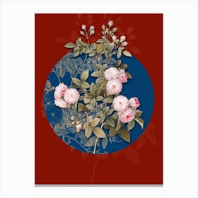Vintage Botanical Pink Baby Roses on Circle Blue on Red n.0256 Canvas Print