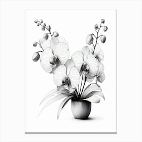 Orchids In A Vase Detailed In Black And WHITE Canvas Print