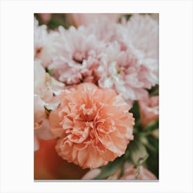 Pink Carnations Canvas Print