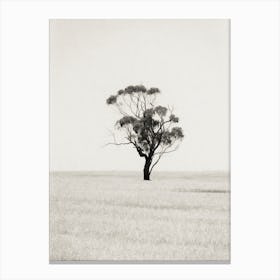 The Lone Tree Canvas Print