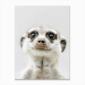 Meerkat Canvas Print