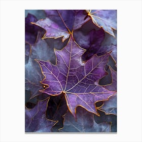 Purple maple leaves Canvas Print