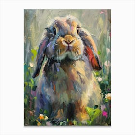 Mini Lop Rabbit Painting 3 Canvas Print