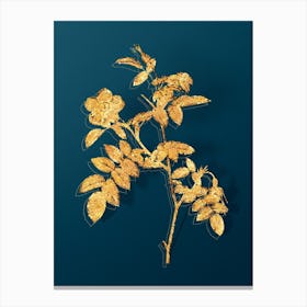 Vintage Pink Alpine Rose Botanical in Gold on Teal Blue n.0336 Canvas Print
