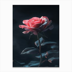 Dark Rose 29 Canvas Print