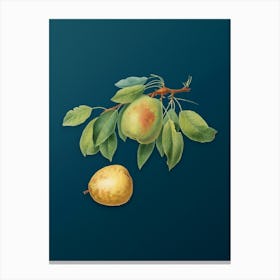 Vintage Pear Botanical Art on Teal Blue n.0973 Canvas Print