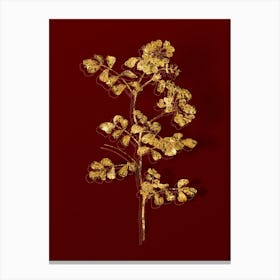 Abnqa Vintage Scorpion Vetch Plant Botanical In Gold On Red N Canvas Print