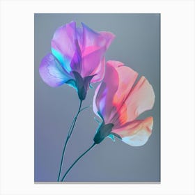 Iridescent Flower Sweet Pea 1 Canvas Print