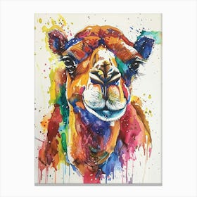 Camel Colourful Watercolour 3 Canvas Print
