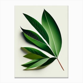Tea Tree Leaf Vibrant Inspired 2 Canvas Print