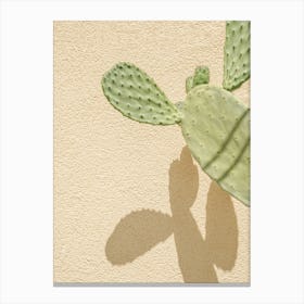 Cacti Shadowplay Canvas Print