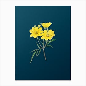 Vintage Golden Coreopsis Flower Botanical Art on Teal Blue n.0752 Canvas Print