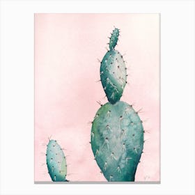 Cactus 1 Canvas Print
