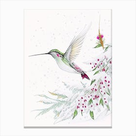 Hummingbird In Snowfall Quentin Blake Illustration 2 Canvas Print