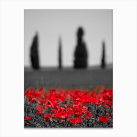 Italy Field Poppies Bw Canvas Print