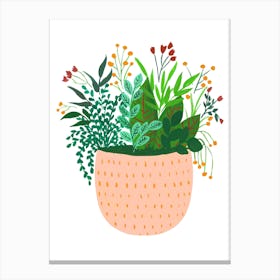 Assorted Potted Plants Mira Canvas Print