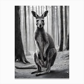 Kangaroo In The Forest Canvas Print