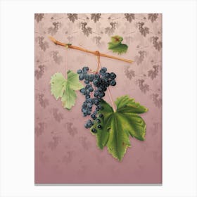 Vintage Grape Colorino Botanical on Dusty Pink Pattern n.0180 Canvas Print