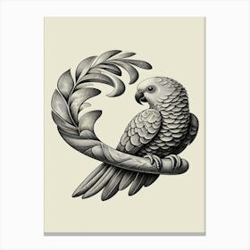 Starling Parrot Canvas Print