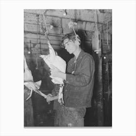 Picking A Turkey, Cooperative Poultry House, Brownwood, Texas By Russell Lee Canvas Print