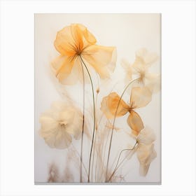 Boho Dried Flowers Nasturtium 1 Canvas Print