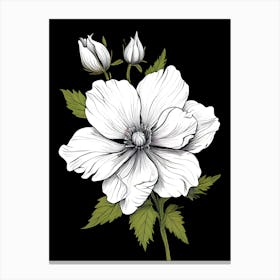 Anemone Flower 1 Canvas Print