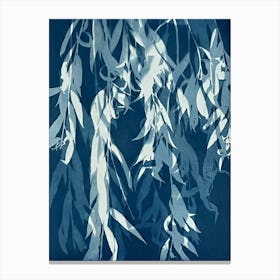 Blue willow tree leaf cyanotype print Canvas Print