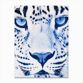 Snow Leopard With Blue Eyes Canvas Print