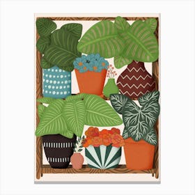 Plants Canvas Print