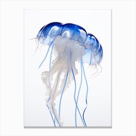 Portuguese Man Of War Jellyfish Watercolour 5 Canvas Print