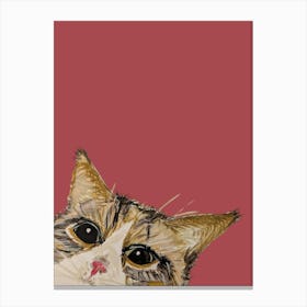 Tabby Cat Watercolour Illustration Canvas Print