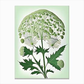 Queen Anne S Lace Leaf Vintage Botanical 2 Canvas Print