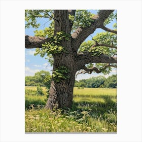 Large Oak Tree Canvas Print